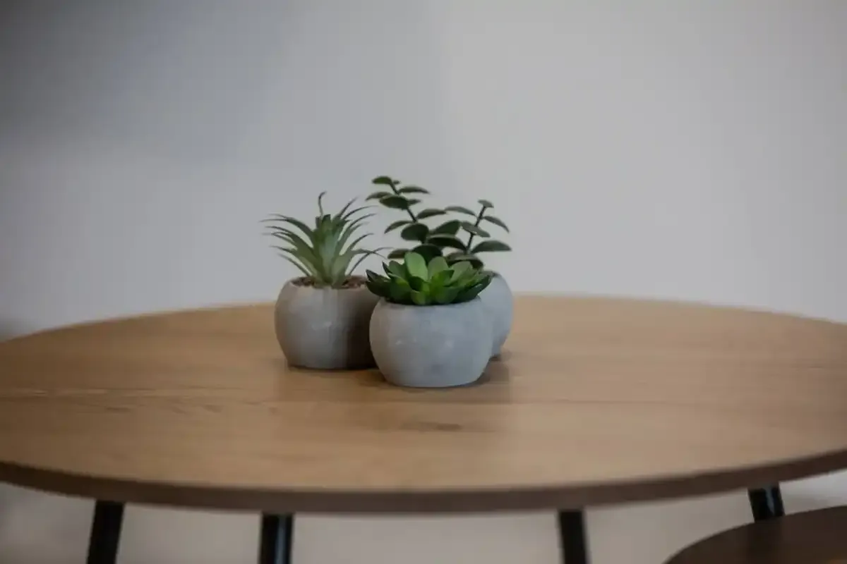 ELA 7 Apartment 5