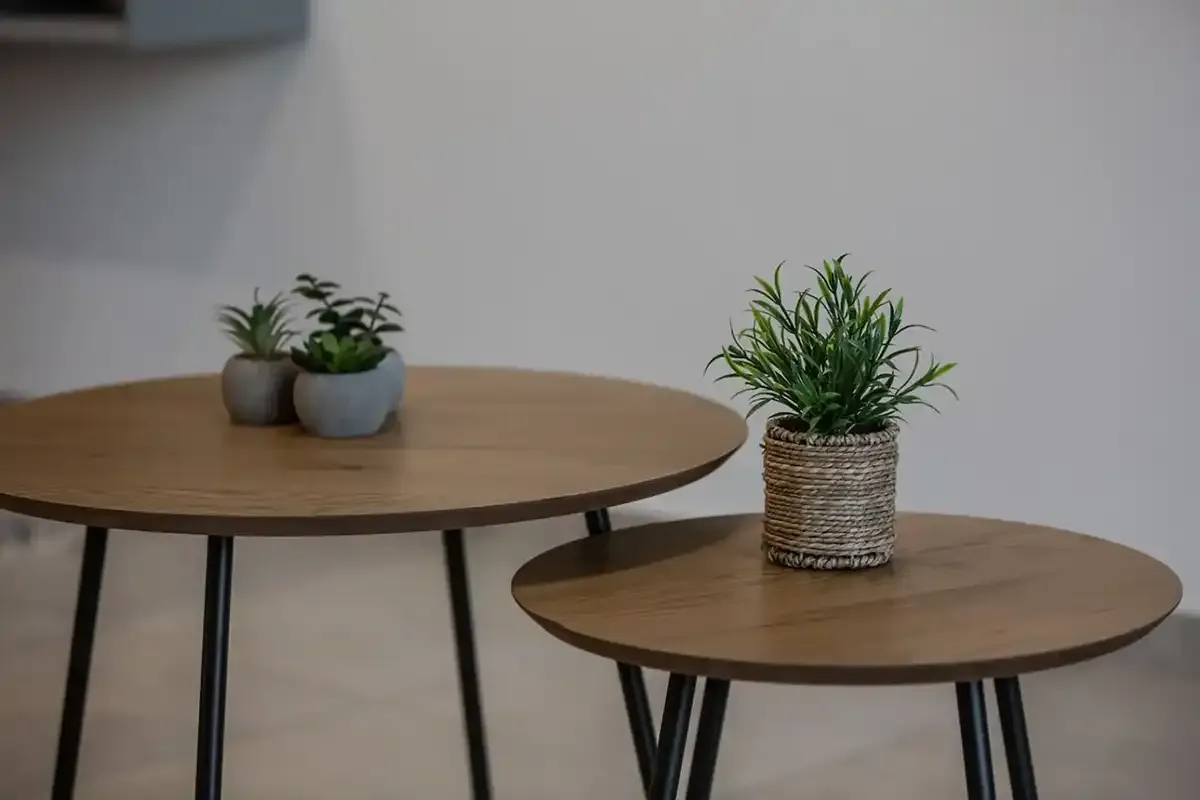 ELA 7 Apartment 7